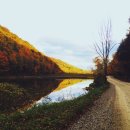 새들약국 이미지