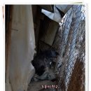 킴스맘1 | 늦은 포천애신동산봉사후기: 25일 주님의 사랑을 아이들에게 1