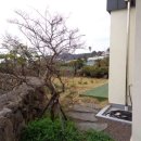 대평리마을회관 이미지