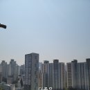 청광플러스원공인중개사사무소 이미지