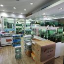 꿈나무 열대어 이미지