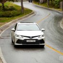 신경길L 이미지