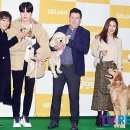 댕댕클럽 이미지