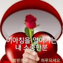 해처럼 물처럼 바람처럼 모죽 이야기 이미지