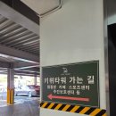 MJ24불가마스파랜드 | 겨울엔 역시 찜질방이죠 🧤 [ 인천 키위스파랜드 ] 다녀왔지요