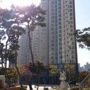 대전계산초등학교 이미지