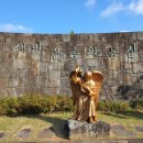 대정목장 이미지