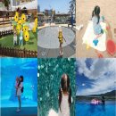 송파 사슴 농장 | 여름방학 아이와가볼만한곳 추천 장소 BEST5