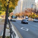 호계운수 이미지