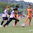 10 뉴시스