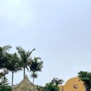 잔다리농장 이미지