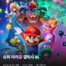 2단지책과비디오 이미지