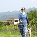 정호진농장 이미지