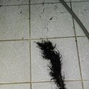 태양당구장 이미지