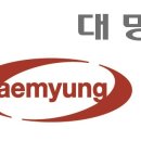 대명5 헤럴드경제