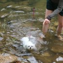 캠핑소리251 이미지