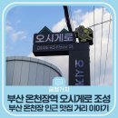 오시게로 | 부산 온천장역 오시게로 조성 소식, 부산 온천장 인근 맛집 거리 이야기