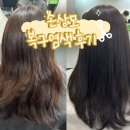 [서울/강남] 복구염색 잘하는 곳 “이든헤어” 방문후기