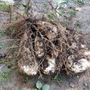 종서농장 이미지