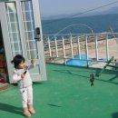 추도명진민박 이미지