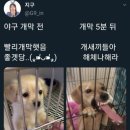 25.3월 기묘월 일상(신혼집구하기,혼수상담,상하이기념품,마비노기)