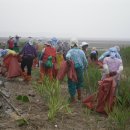 법산어촌계 이미지