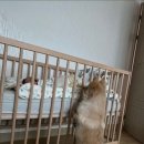 친정맘 이미지