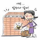 대우세탁 이미지