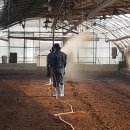 시현농장 이미지