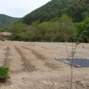 단촌목장 이미지