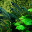 새우일 산소 이미지