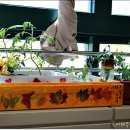 제주의료원 이미지