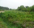 고천동 115-3 이미지