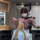 애미헤어숍