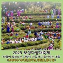 솔밭(어린이공원) | 인생샷+힐링+먹방까지! 2025 보성다향대축제 요즘 핫한 코스 총정리