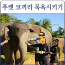 Sanctuary | 푸켓 코끼리보호소 방문기 아이 셋과 다녀온 Elephant Jungle Sanctuary 후기