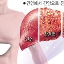 약수건강원 - 강화군 중앙로 196 | 약수건강원