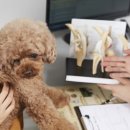 더봄동물병원 이미지