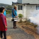 가족크리닝?? 이미지