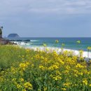 서호동-44 이미지