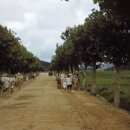 수원-1953 이미지