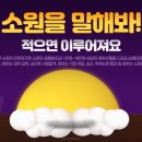 다이아스터디카페 이미지