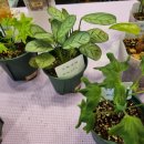 초록마켓 이미지