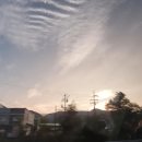 규봉농장 이미지