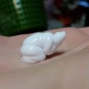멍집