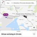 개인택시 31바 5551 | 탑승기, 공항<-->시내 이동 + 쉐라톤 프린세스 카이울라니 와이키키 비치 고층 오션뷰 객실 및 조식 후기