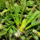 동서천농협 하나로마트 이미지