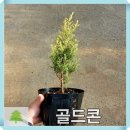 G0162 이미지