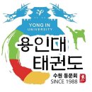 용인대예도태권도 이미지