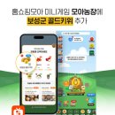 모아모아